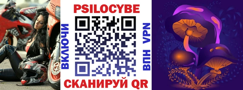Псилоцибиновые грибы Cubensis  Купить  Старица 